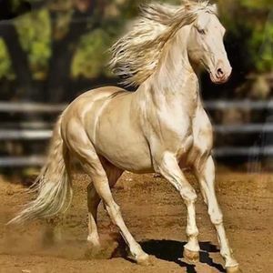 Meet your Posher, Fred